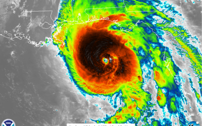 Hurricane Michael Prompts Emergency Declarations in Southern States