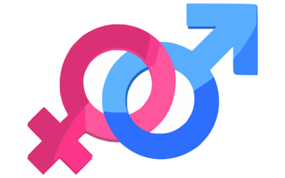 FMCSA to Study Crimes against Minority Male and Female Truckers